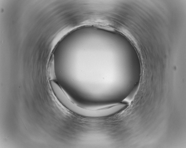 X0000086921344200705071318