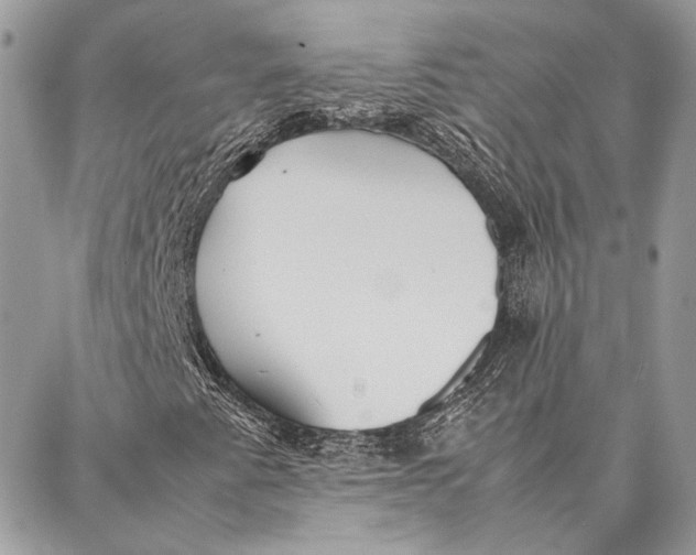 X0000086921345200705071318