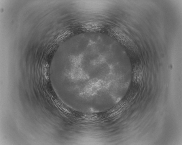 X0000086921346200705071318