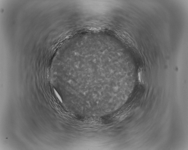 X0000086921347200705071318