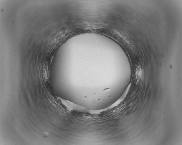 X0000086921348200705071318