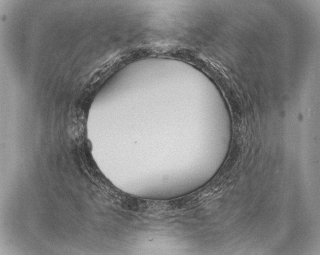 X0000086921349200705071318