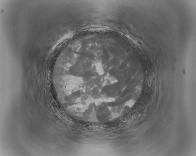 X0000086921351200705071318