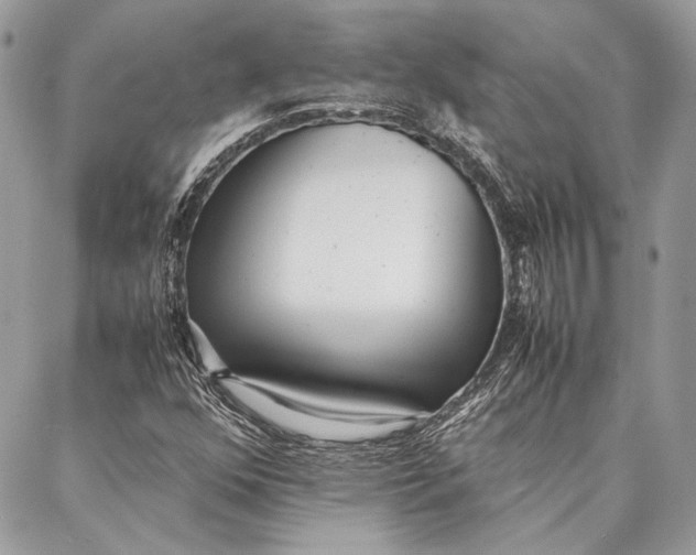 X0000086921352200705071317