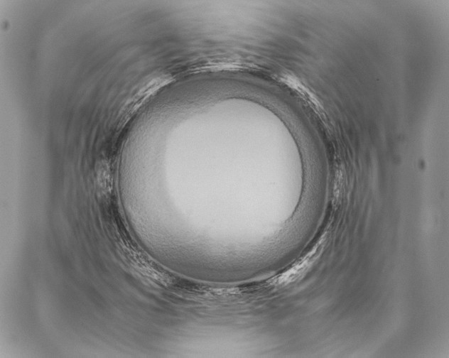 X0000086921353200705071317