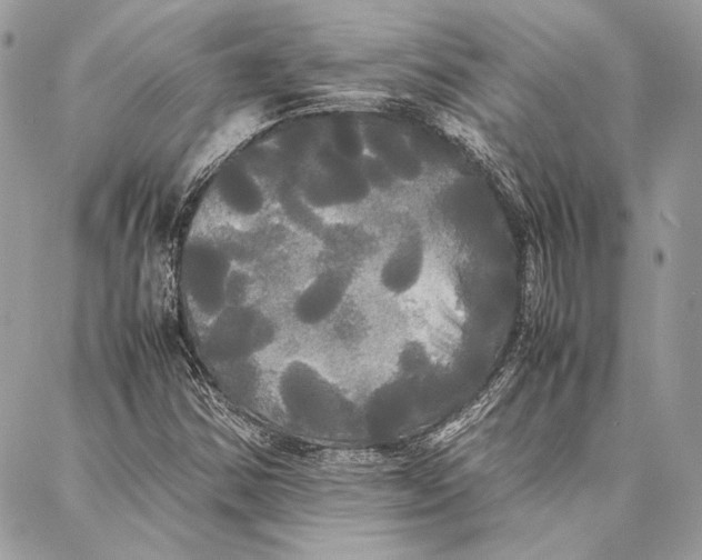 X0000086921354200705071317