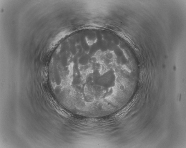 X0000086921355200705071317