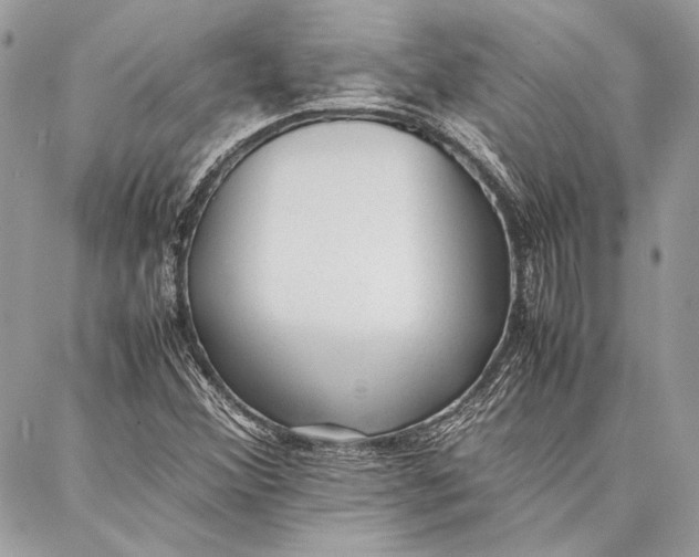 X0000086921356200705071317