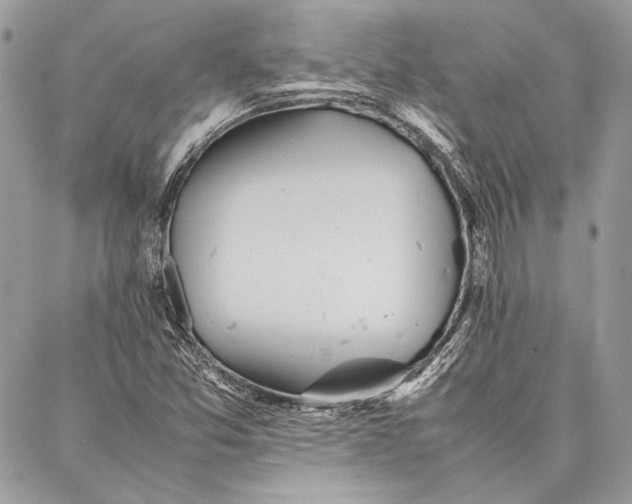 X0000086921357200705071317