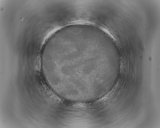 X0000086921358200705071317