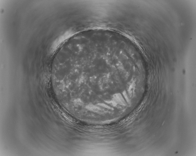 X0000086921359200705071317