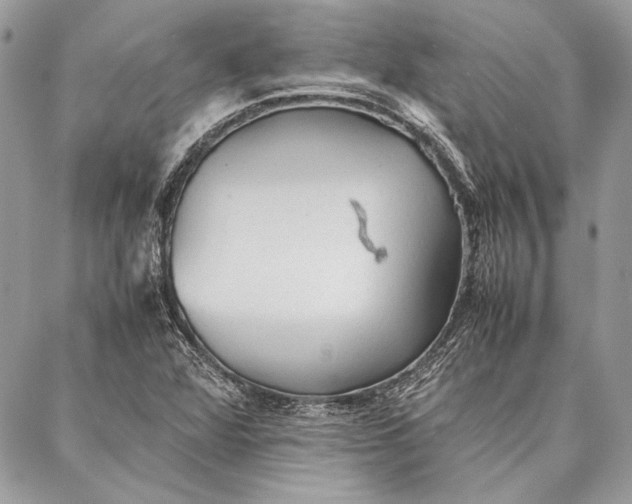 X0000086921360200705071317