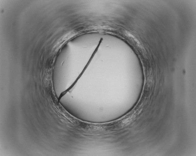 X0000086921361200705071317