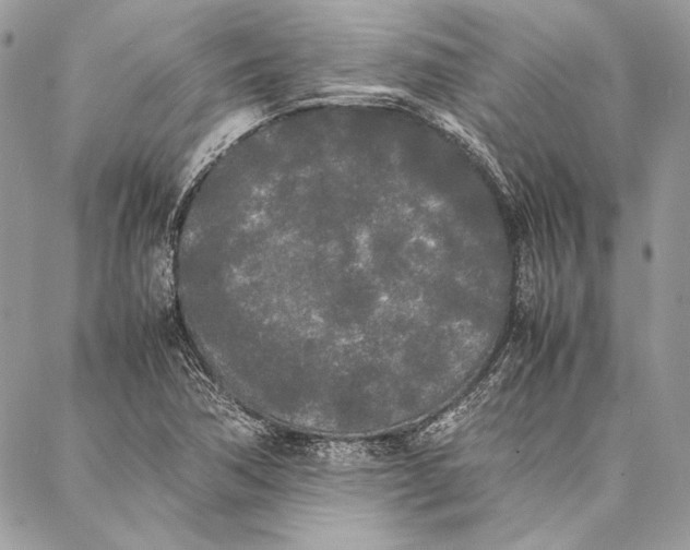 X0000086921362200705071317