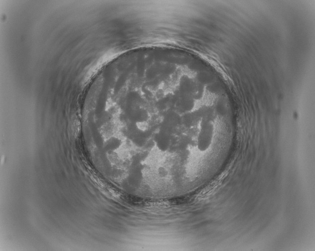 X0000086921363200705071317