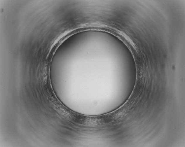 X0000086921364200705071317