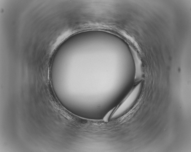 X0000086921365200705071317