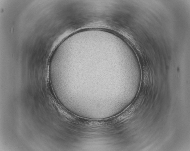 X0000086921366200705071317