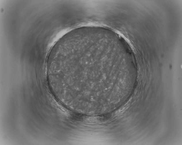 X0000086921367200705071317