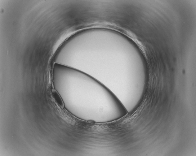 X0000086921368200705071317