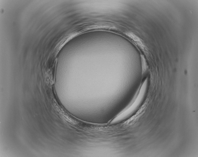 X0000086921369200705071317