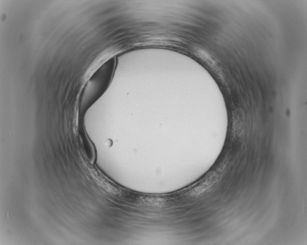 X0000086921370200705071317