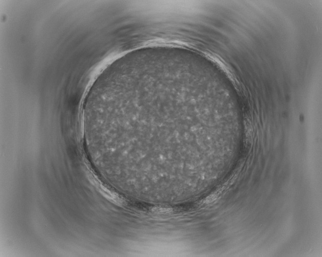 X0000086921371200705071317