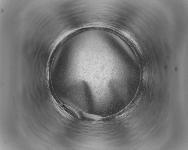 X0000086921372200705071317