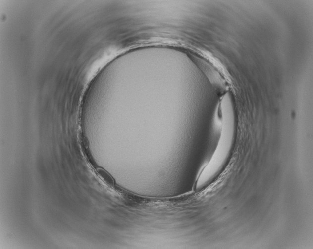 X0000086921373200705071317