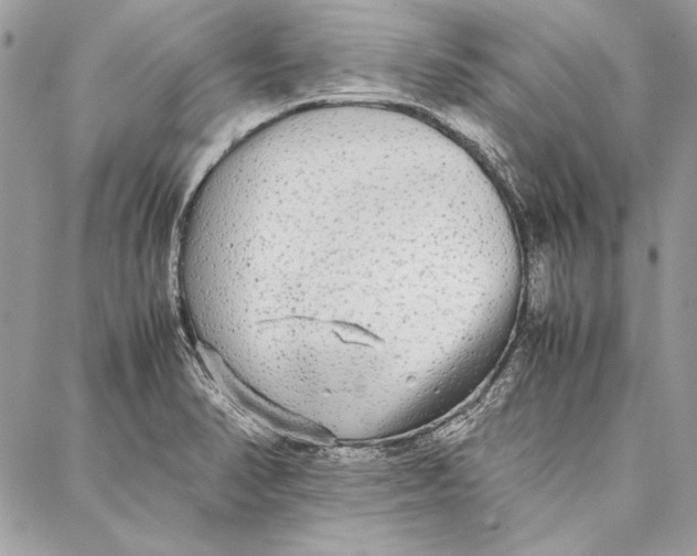 X0000086921374200705071317