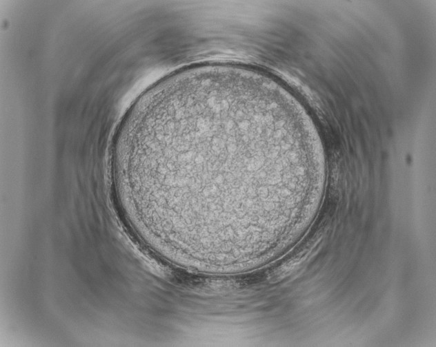 X0000086921375200705071317