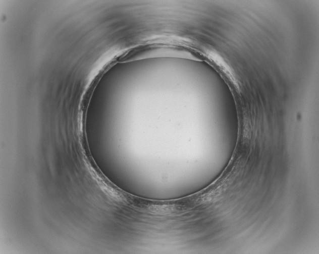 X0000086921376200705071317