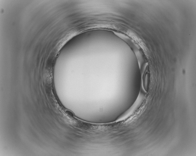 X0000086921377200705071317