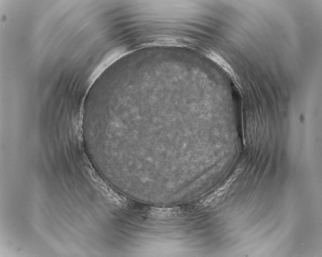 X0000086921378200705071317