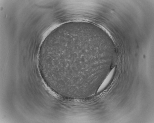 X0000086921379200705071317