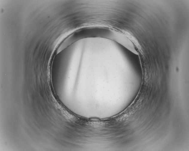 X0000086921380200705071317