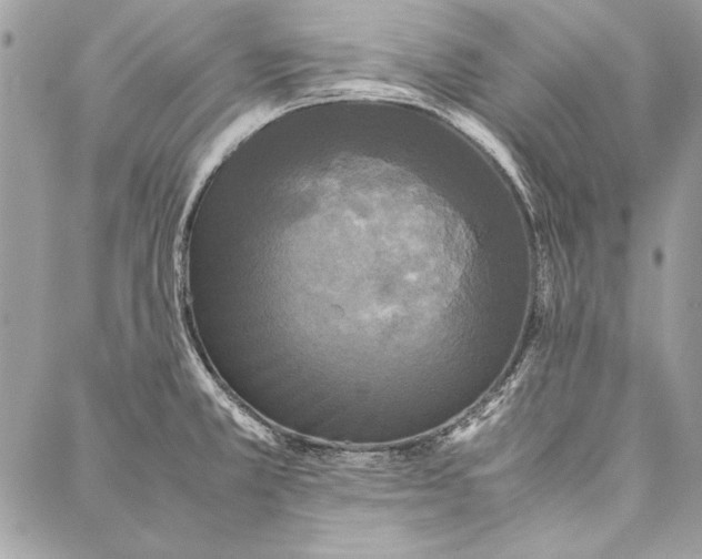 X0000086921381200705071317