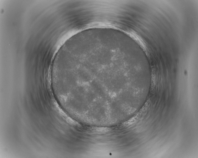 X0000086921382200705071317