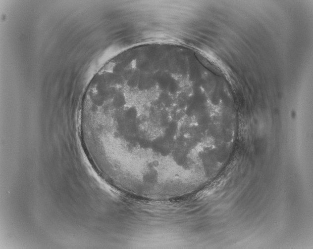 X0000086921383200705071317