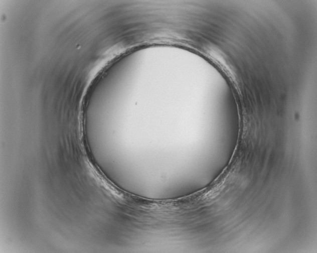 X0000086921384200705071317