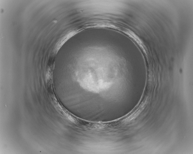 X0000086921385200705071317