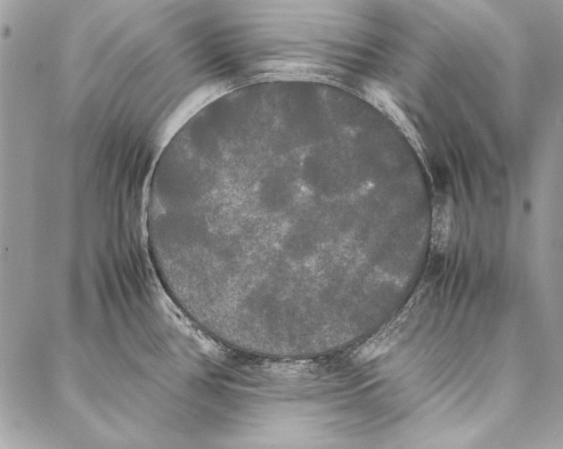 X0000086921386200705071317