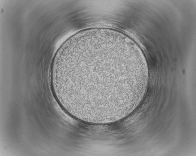 X0000086921387200705071317