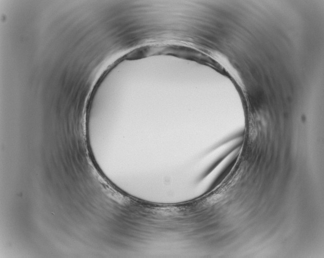 X0000086921388200705071317