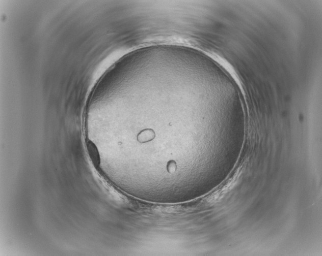 X0000086921389200705071317