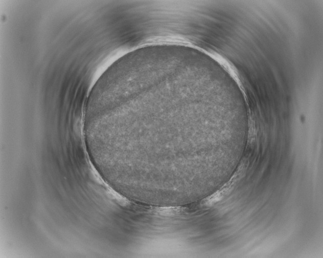 X0000086921390200705071317