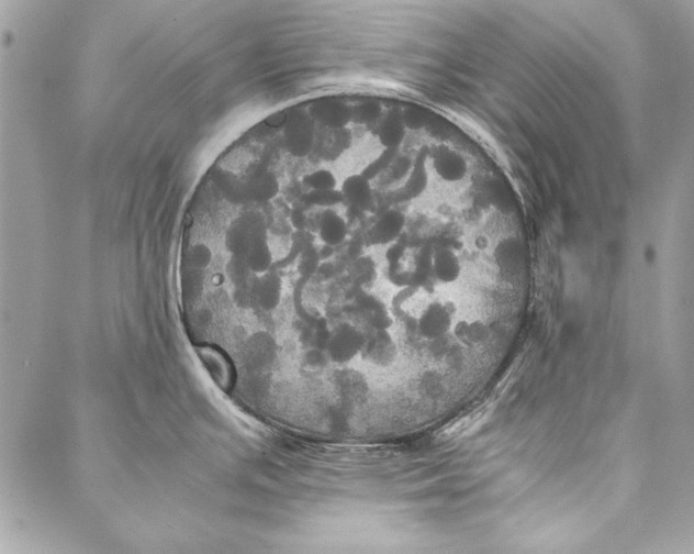 X0000086921391200705071317