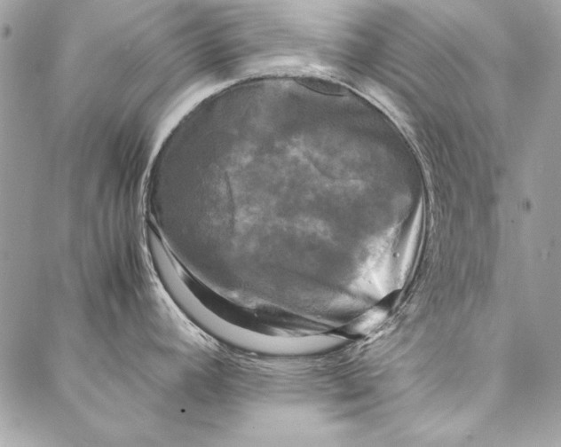 X0000086921392200705071317