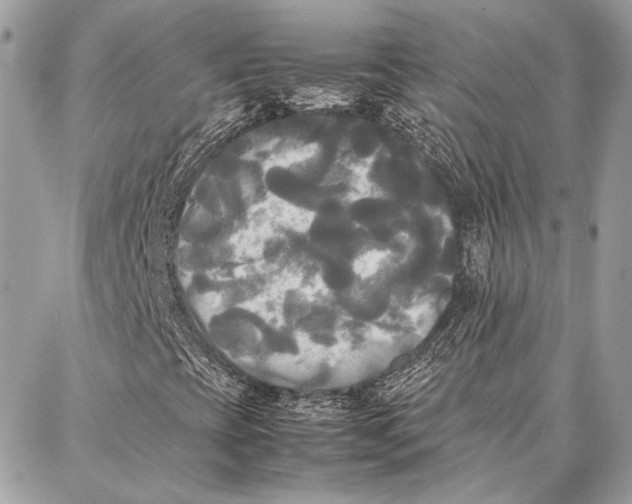 X0000086921393200705071316