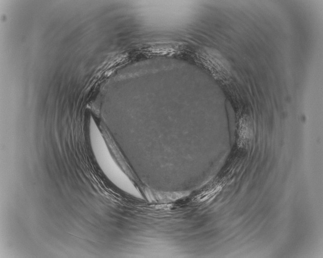 X0000086921394200705071316